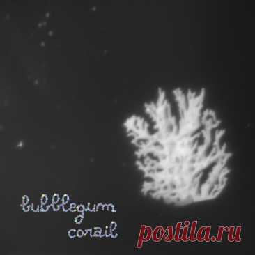bubblegum corail - bubblegum corail (2025) 320kbps / FLAC