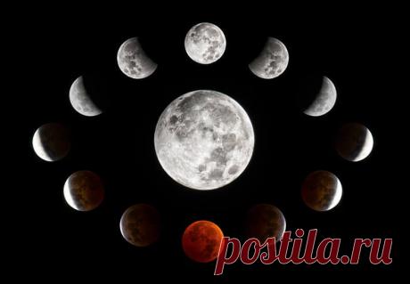 Лунная диета — самый легкий и действенный способ держать свой аппетит в узде | Диеты со всего света