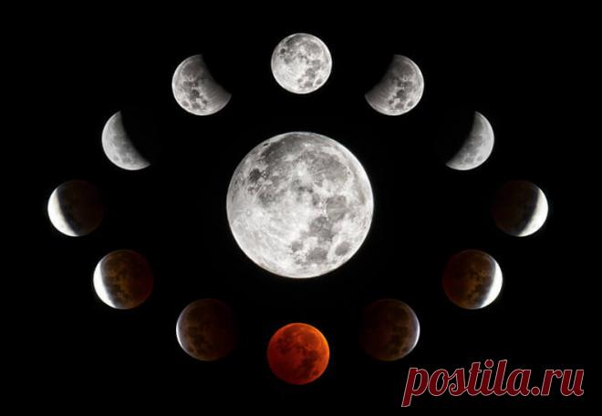 Лунная диета — самый легкий и действенный способ держать свой аппетит в узде | Диеты со всего света