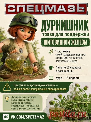 Дурнишник трава для поддержки щитовидной железы