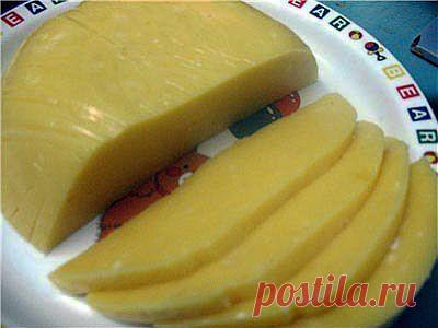 Домашний твердый сыр | Готовим вместе