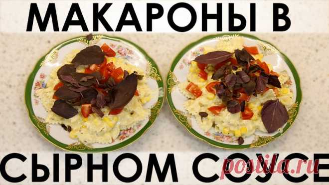 101. Макароны в сырном соусе: принципиально иной уровень привычных макарон с сыром :) — Кулинарная книга - рецепты с фото