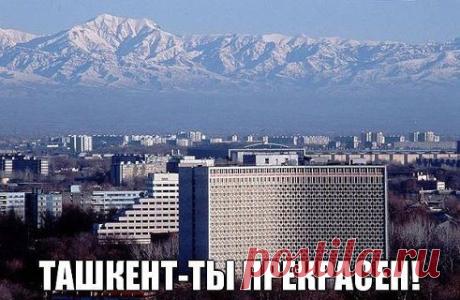 Moy lyubimiy Tashkent)
Mustafa Altay