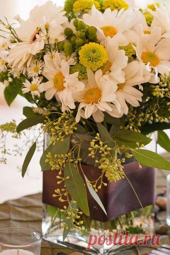 флористика