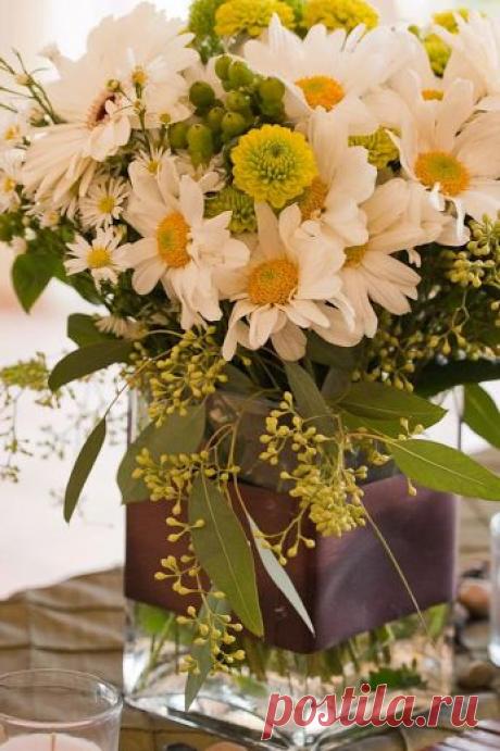 флористика