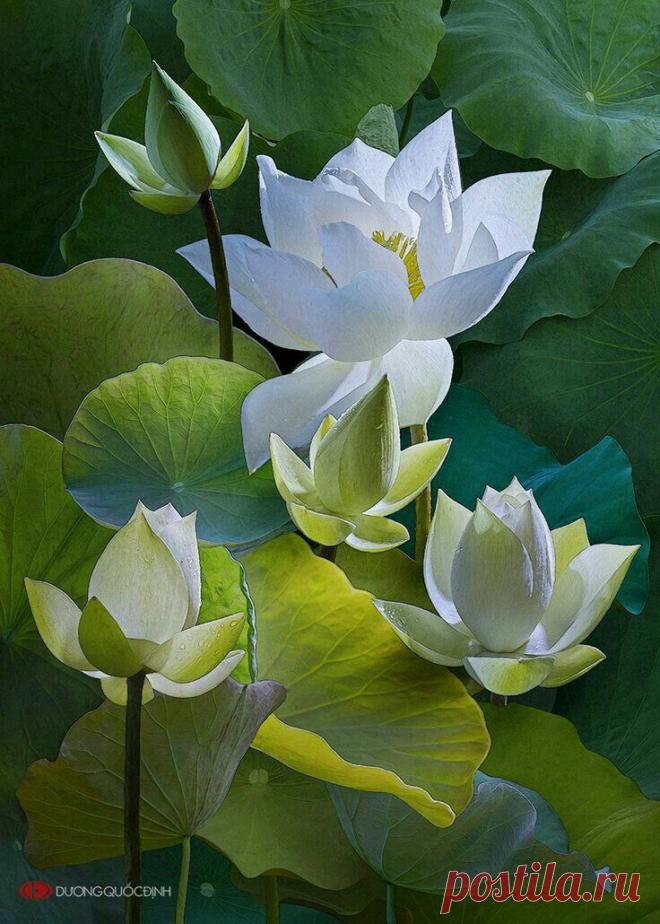 Пин на доске Картина