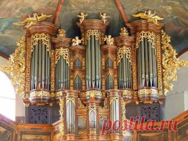 Королевский орган. История одного инструмента