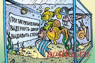 Житейские байки: Статистическая реальность