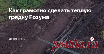 Как грамотно сделать теплую грядку Розума Розум В. Н. — это известный садовод, который занимался многие годы (и занимается до сих пор) земледелием и выращиванием различных культур. Одно из его достижений — это вариация теплой грядки, на которой все растет, урожай с нее на 35 процентов  больше, чем с простой грядки. Причем срок этой грядки практически не ограничен.
