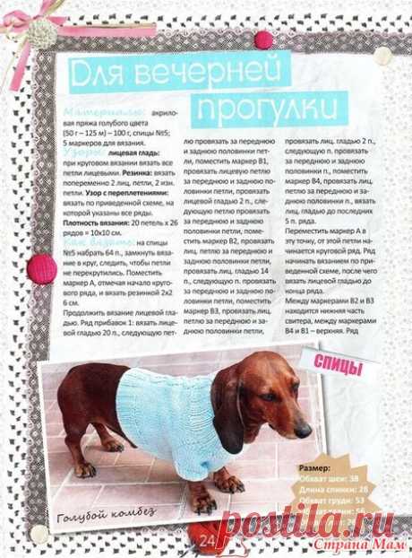 Обновки для пёсика и кухни - Вязание - Страна Мам