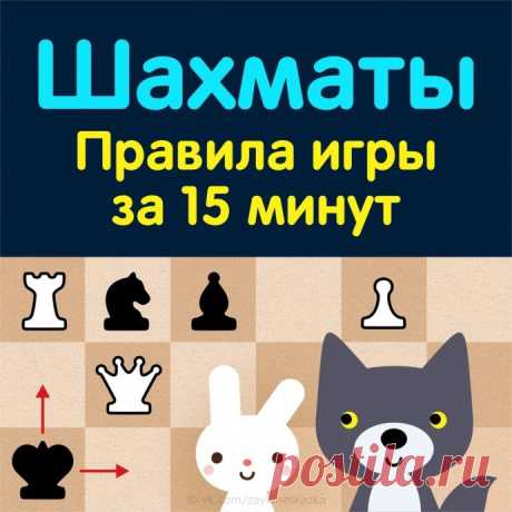 ​Шахматы: правила игры за 15 минут
