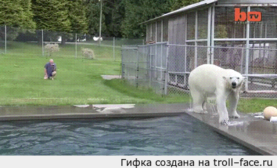 Фото Без названия. Альбом Сплошное зверство