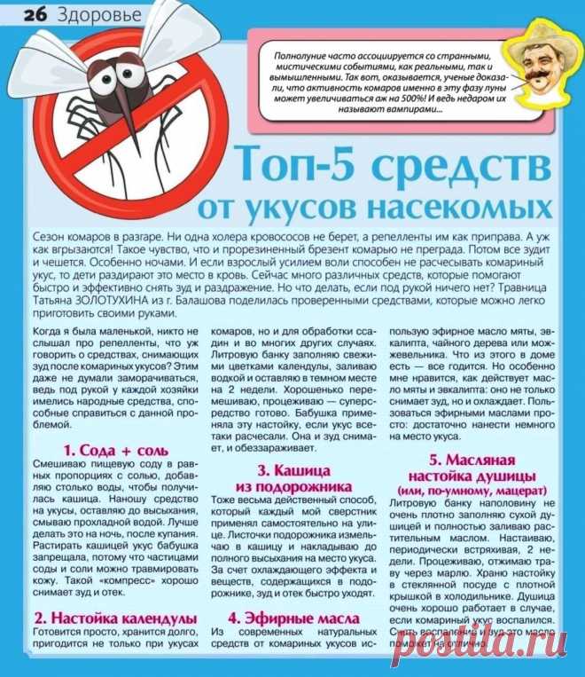 5 средств от укусов насекомых