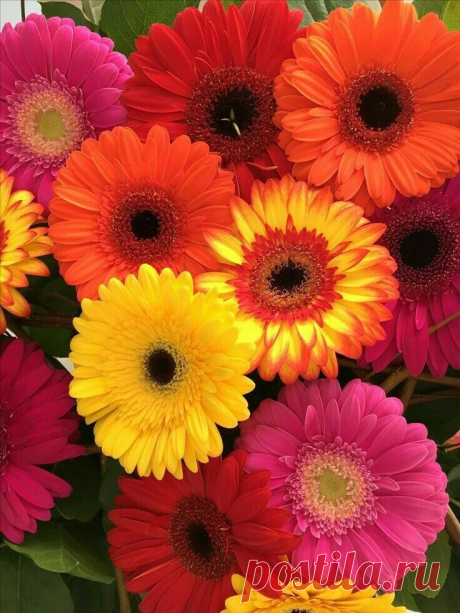 i (736×981)