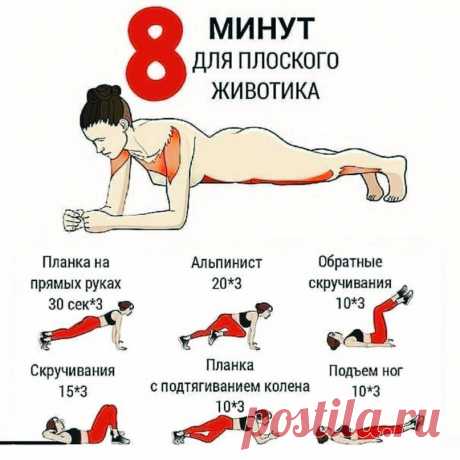 8 минyт в дeнь и вaш живoтик будeт идeaльным