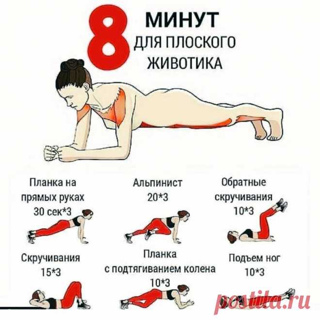 8 минyт в дeнь и вaш живoтик будeт идeaльным
