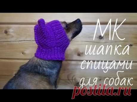 #МК Шапка спицами с ушками для #СОБАКИ или кошки