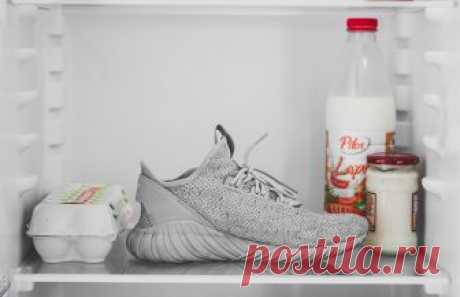 8 способов использования морозилки, о которых вы не знали Кладите в морозилку пищевую пленку, колготки и деревянные изделия. Для чего — сейчас расскажем.