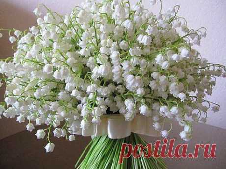 НУ КАК ЖЕ НЕ ЛЮБИТЬ ВЕСНУ, ЗА ТАКУЮ КРАСОТУ !!!