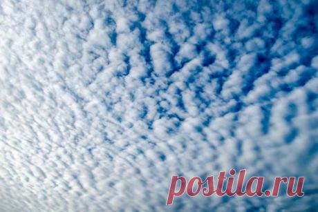 2023-Без озона Земля может стать намного холоднее Эволюция климата Земли включает в себя множество компонентов. А новое исследование показало, насколько критичен озоновый слой для температуры поверхности Земли. Без озонового слоя наша планета была бы на значительно холоднее.Многие механизмы обратной связи и воздействия играют роль в...