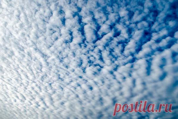 2023-Без озона Земля может стать намного холоднее Эволюция климата Земли включает в себя множество компонентов. А новое исследование показало, насколько критичен озоновый слой для температуры поверхности Земли. Без озонового слоя наша планета была бы на значительно холоднее.Многие механизмы обратной связи и воздействия играют роль в...