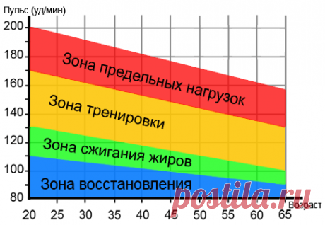 Оздоровительный бег трусцой, плаванье и другие кардио-тренировки