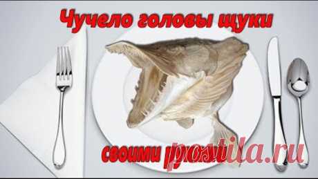 Чучело головы щуки своими руками