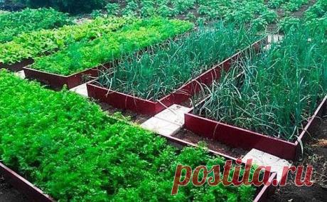 Оцинкованные грядки, варианты с полимерным покрытием, фото, видео Оцинкованные грядки – возможность увеличить урожай и украсить участок. Различные размеры и оттенки полимерных конструкций позволят выбрать оптимальный вариант.