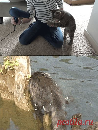 Креативненько  - Доска объявлений - оксюморон