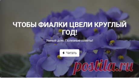 Умный дом. Полезные советы!