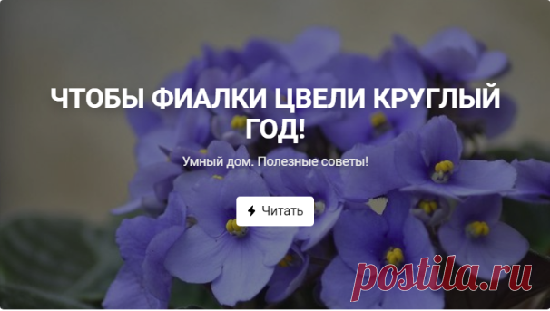 Умный дом. Полезные советы!