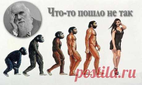 Не дай бог...