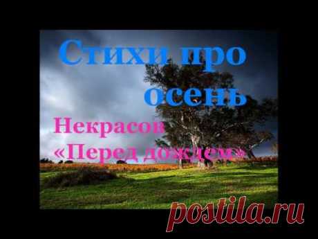 Стихотворения про осень. Некрасов "Перед дождем"