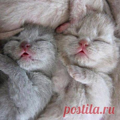 Новости
