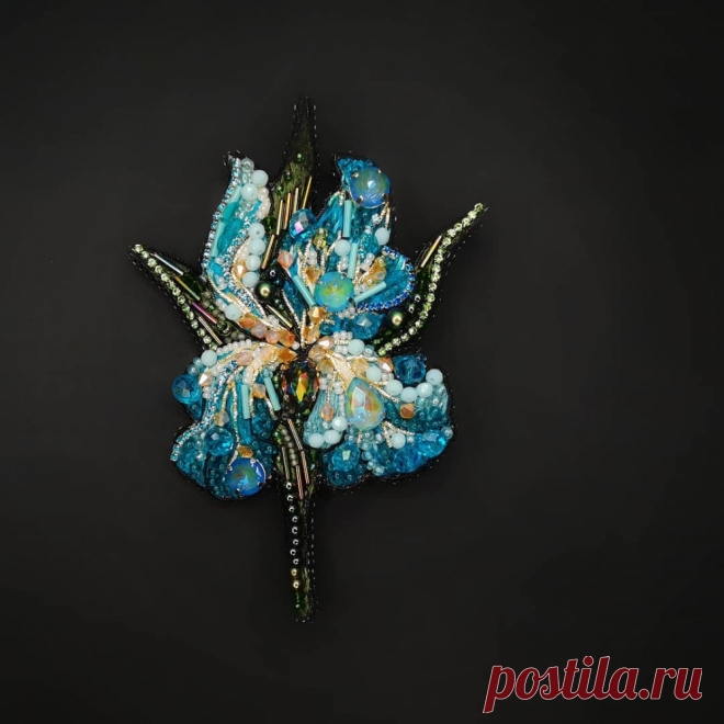 d424e1353b6a8d726e2923828ad00c15.png (1000×1000)