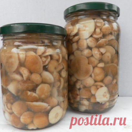 Маринованные маслята