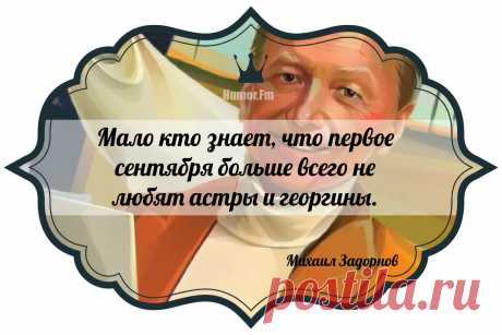 Цитаты задорнова в картинках