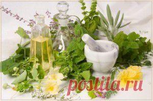 (+1) тема - Травы молодости. Лиственные сборы, природные настои. | КРАСОТА