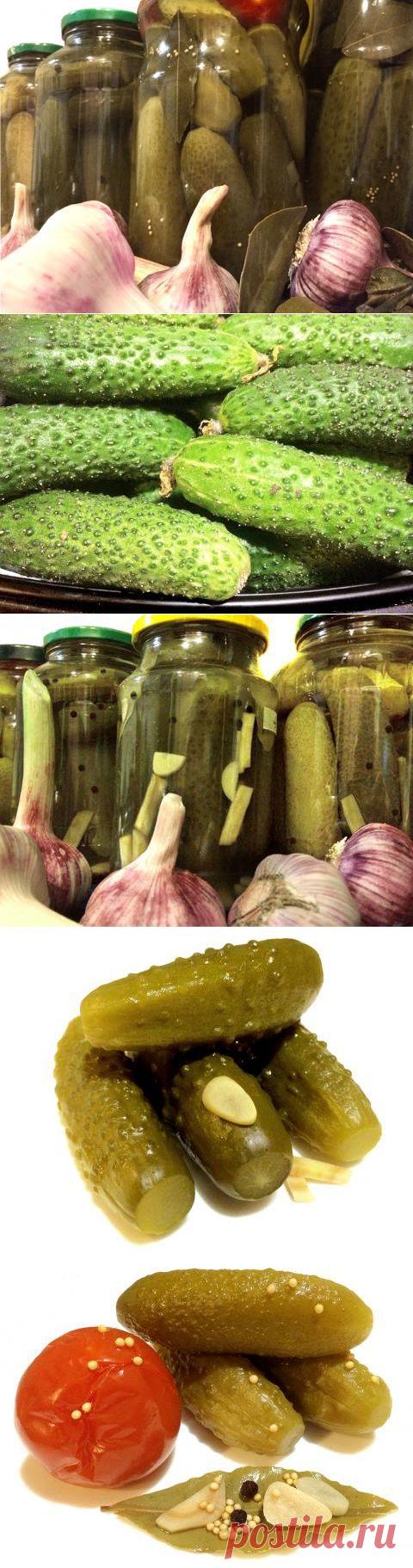 МОИ «СОЛЕНЫЕ» И МАРИНОВАННЫЕ ОГУРЦЫ | 4vkusa.ru