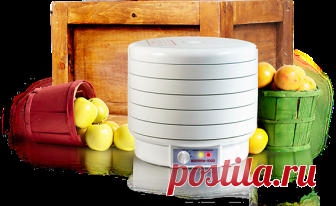 Cушилка для овощей и фруктов Вольтера 1000 люкс