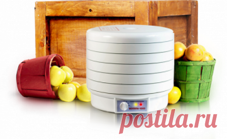 Cушилка для овощей и фруктов Вольтера 1000 люкс