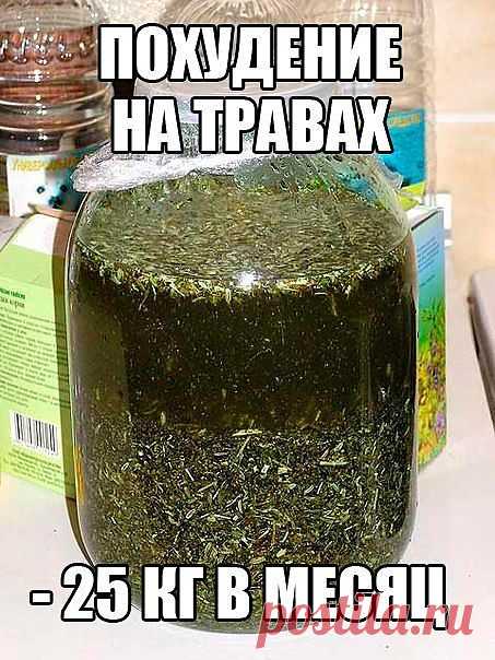 Похудение на травах