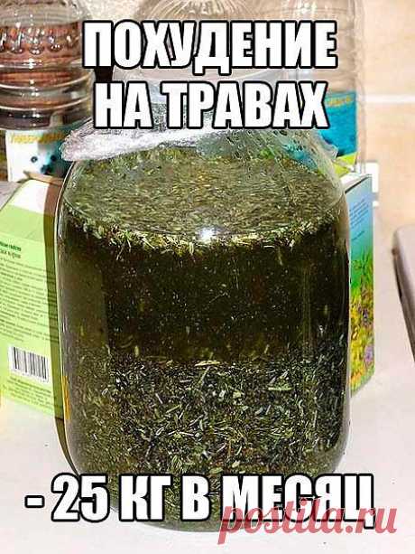 Похудение на травах