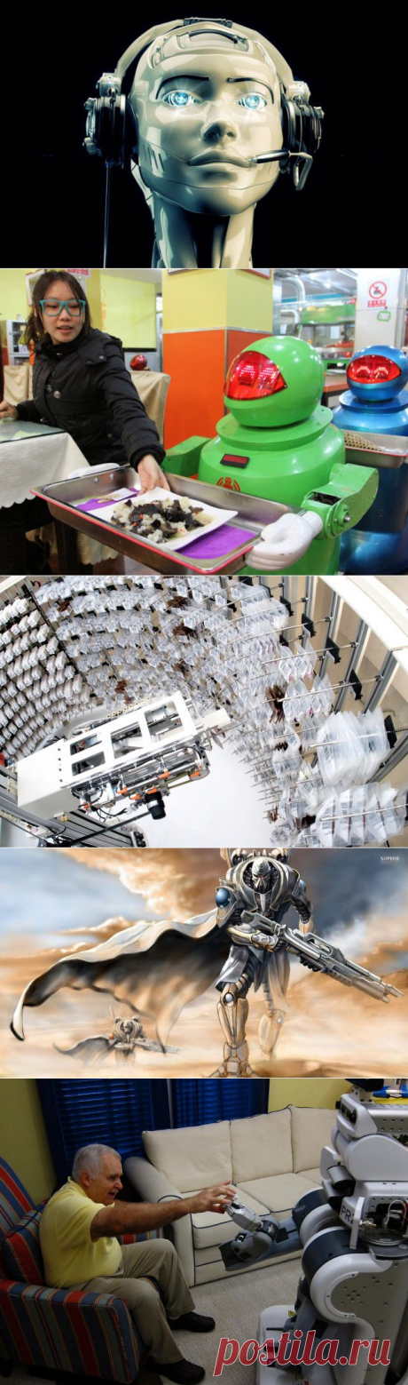 Профессии, в которых в ближайшие 20 лет люди будут заменены роботами - Наука и жизнь