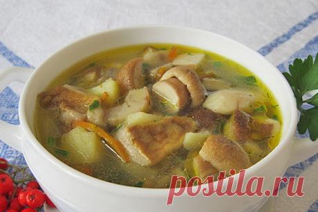 Грибные супы.