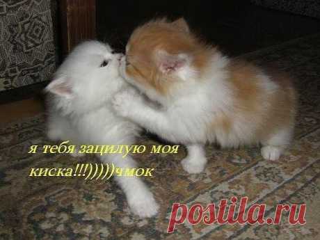 Интересные новости