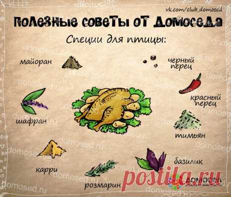 Полезные советы — Делимся советами