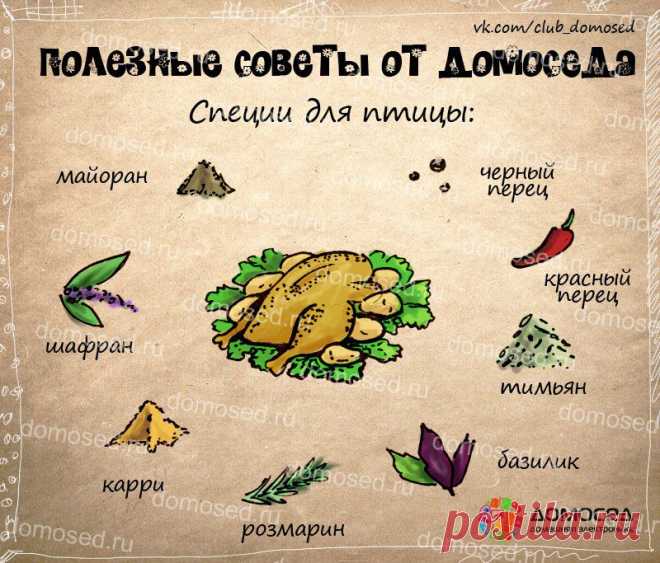 Полезные советы — Делимся советами