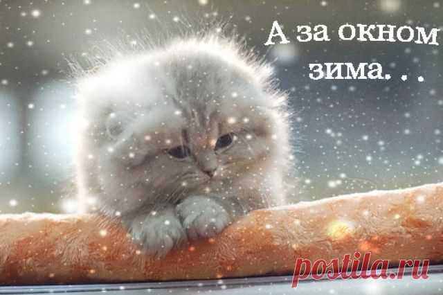 Метель-завируха!
