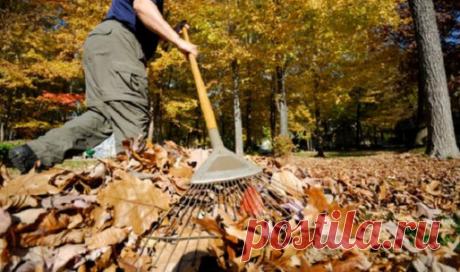 Это же пищевая плёнка! 13 хитрых способов применения чудо-материала...